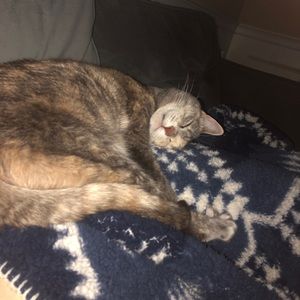 Meet your Posher, Marcin